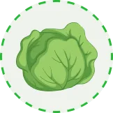 將自然的豐饒帶上您的餐桌 - 28圈haihaihao