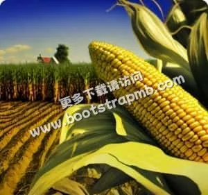 極致操作，身臨其境的沉浸感 - 28圈haihaihao