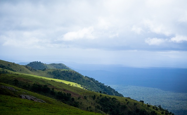 的舞台上 的舞台上