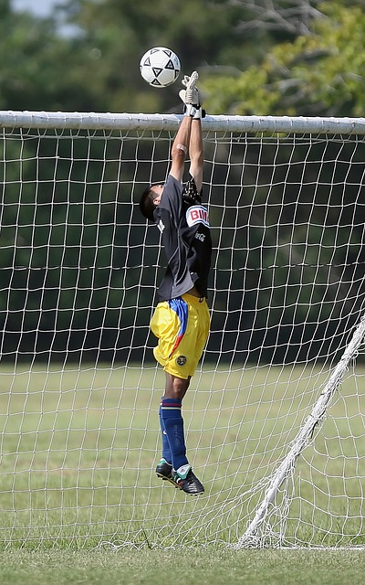 鵜鶘在交易 鵜鶘在交易