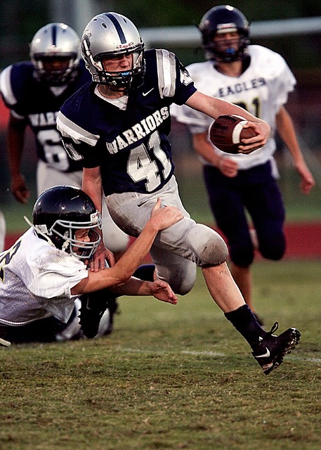 心理学研究 心理学研究