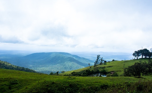 连与排名接 连与排名接