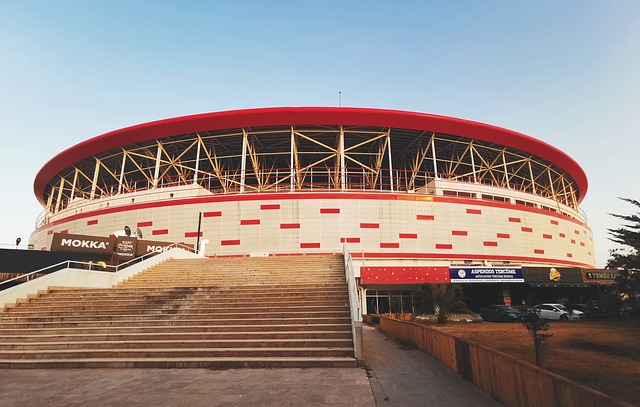 而激烈的冬 而激烈的冬