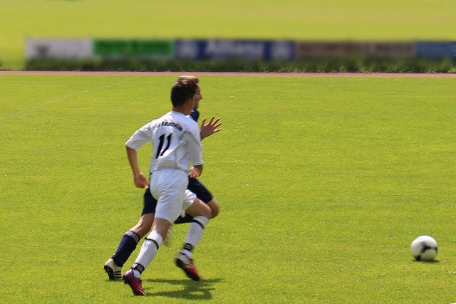 努力与拼搏 努力与拼搏