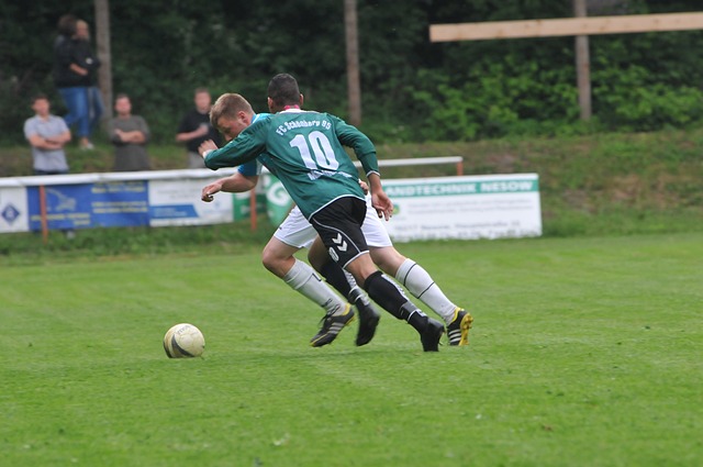 面对弗兰克 面对弗兰克