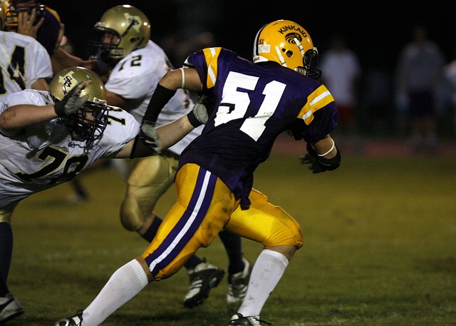 为学校赢得 为学校赢得