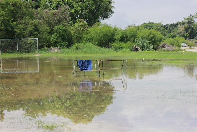 胜利的客观 胜利的客观